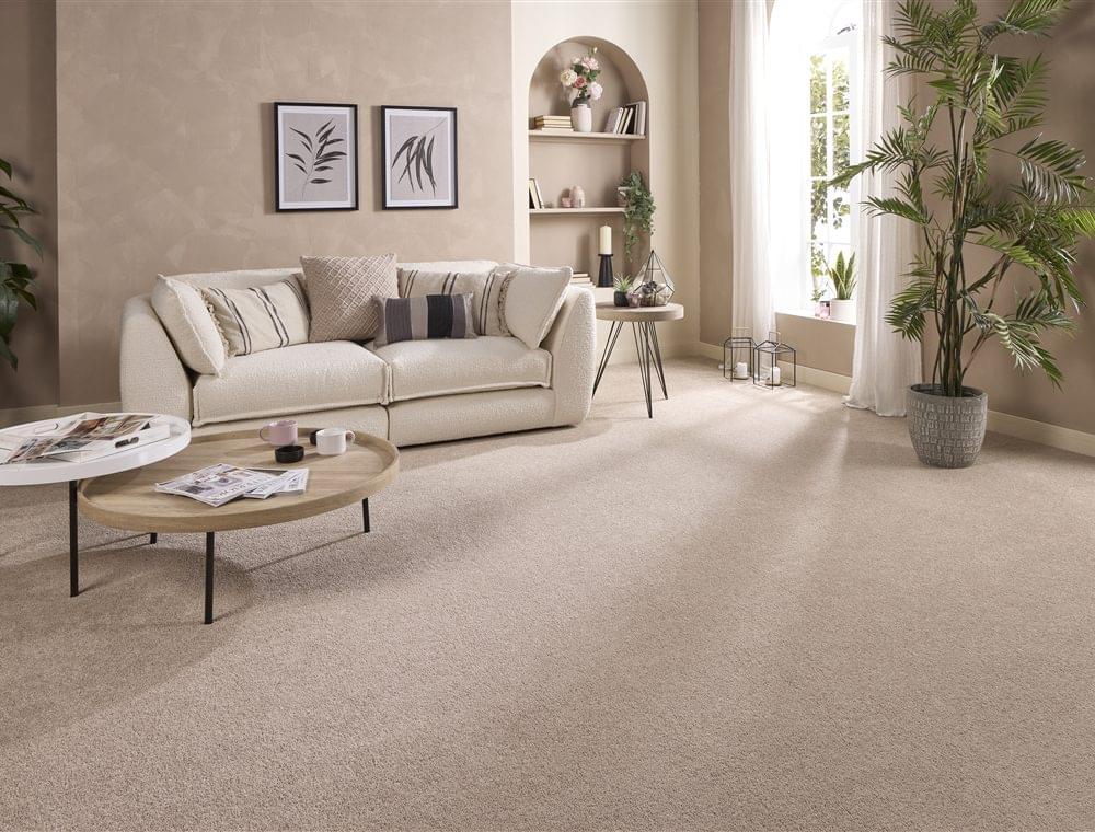 Soft neutral carpet in a modern living room